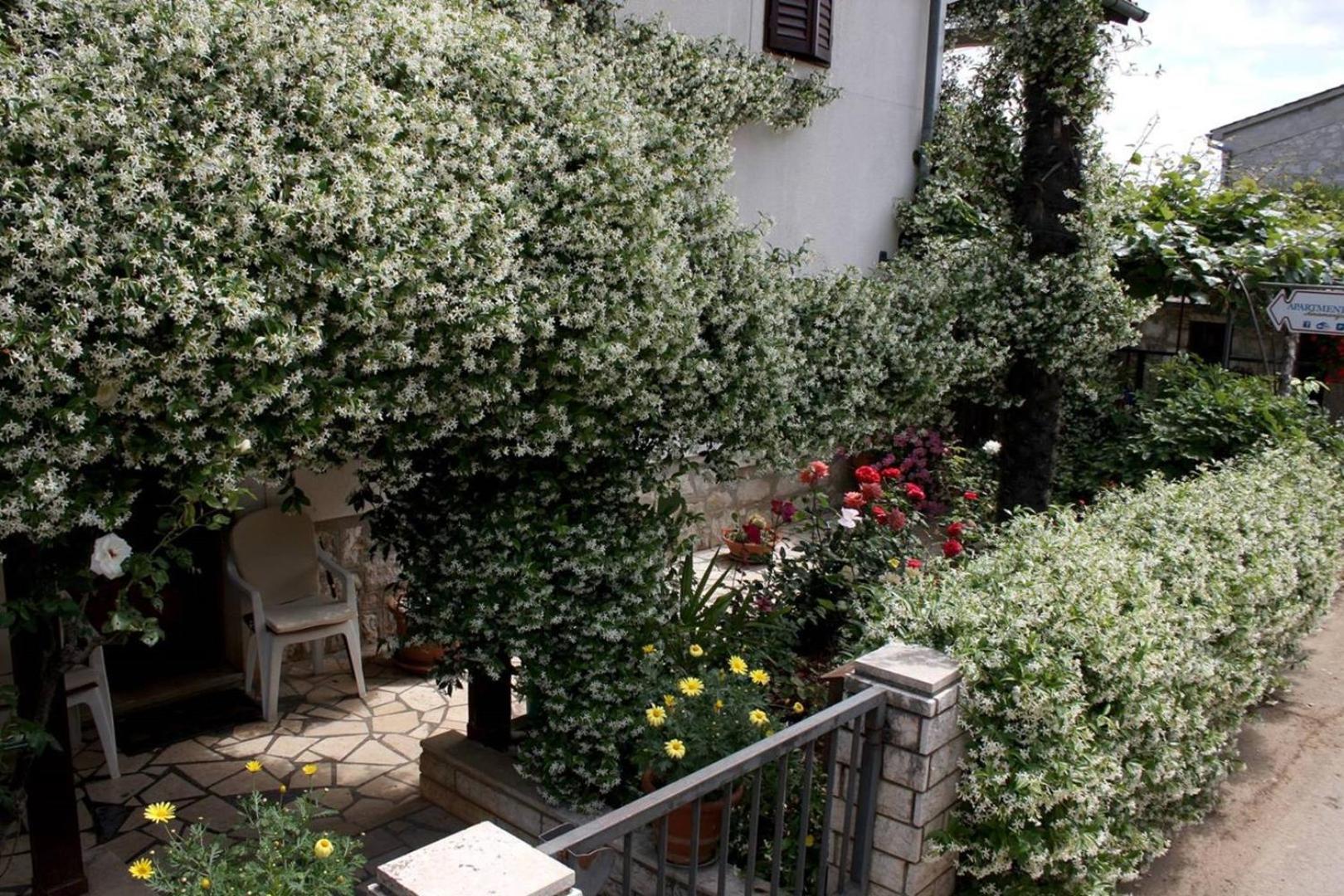Anamarija Apartments Near The Beach And The Fantastic Adria Sea With Over 10 Small Islands Close By Funtana Eksteriør billede